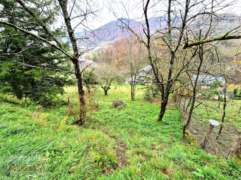 vente Terrain constructible Vabre - Photo 1