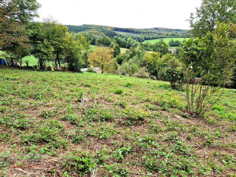 vente Terrain constructible Fontrieu - Photo 3