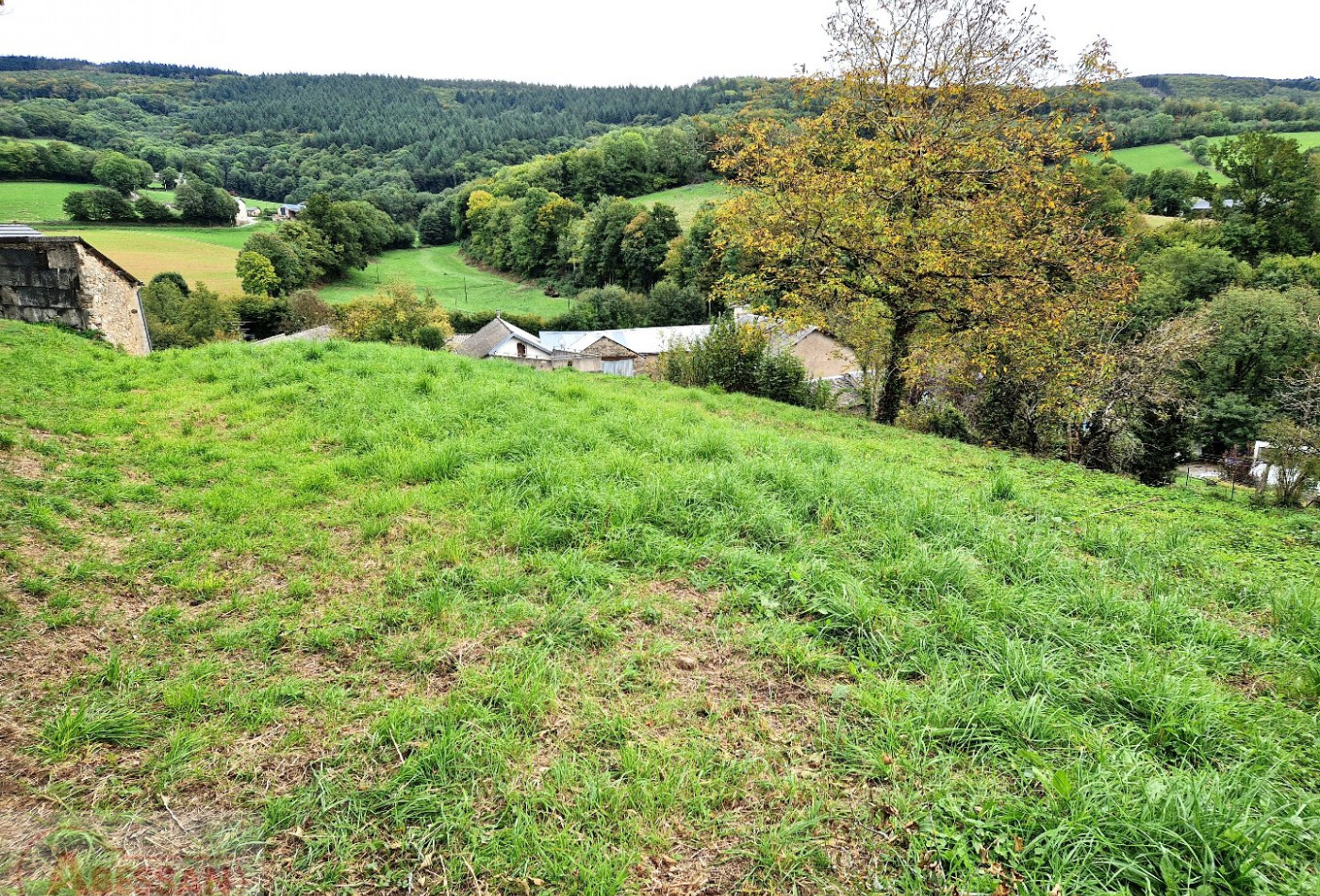 vente Terrain constructible Fontrieu - Photo 4