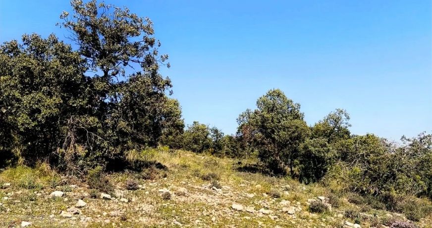 vente Terrain de loisir Monoblet