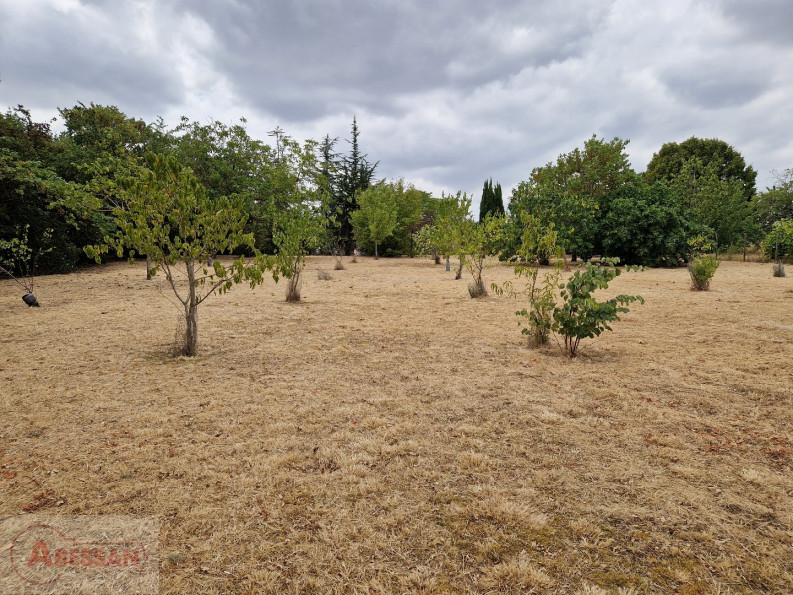 vente Maison individuelle Castres - Photo 6