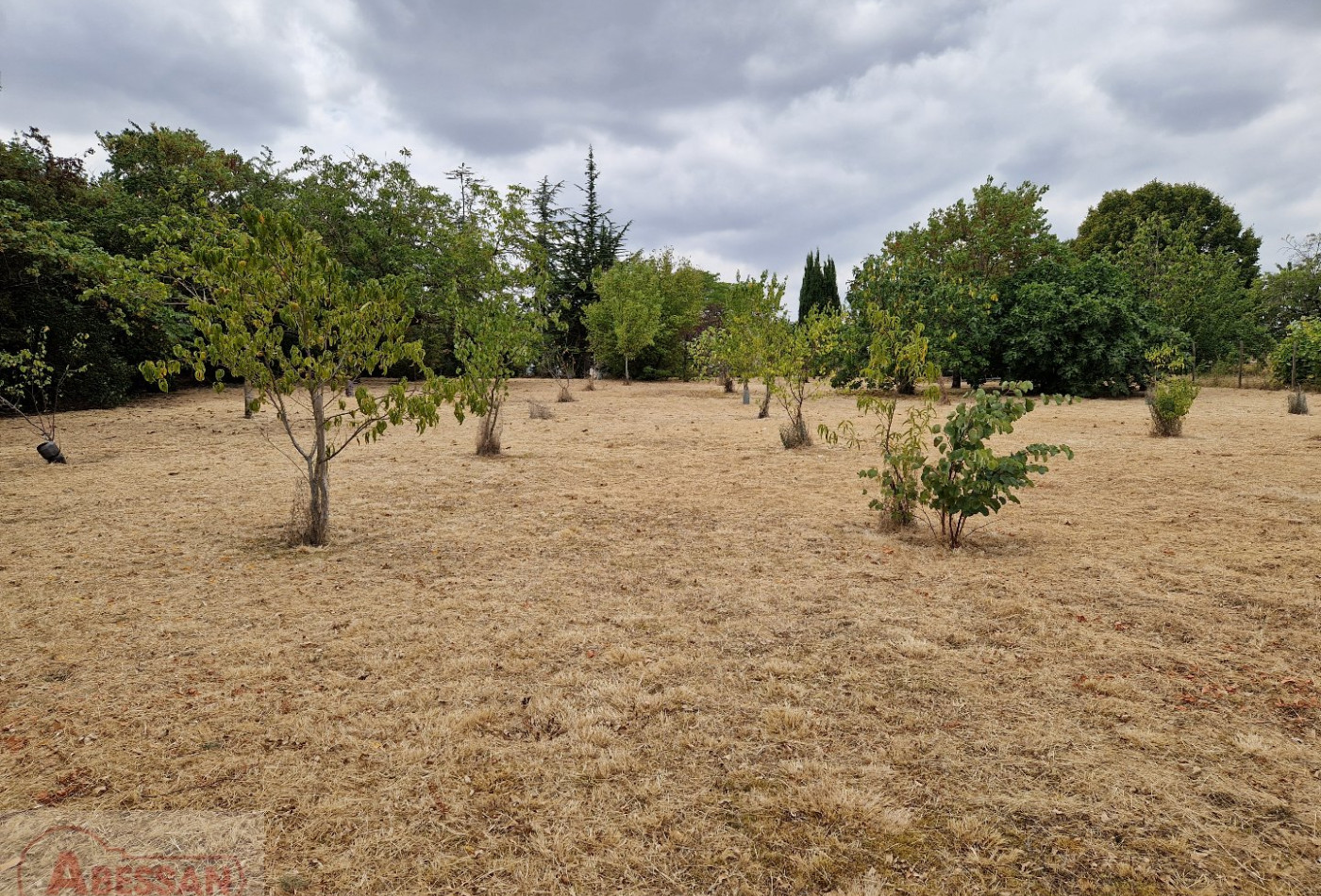 vente Maison individuelle Castres - Photo 7