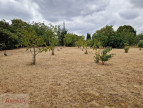 vente Maison individuelle Castres