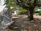 vente Maison individuelle Castres