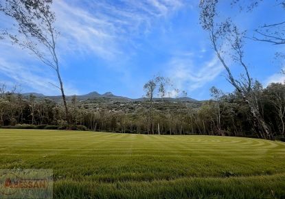 vente Terrain boisé – forêt Monoblet