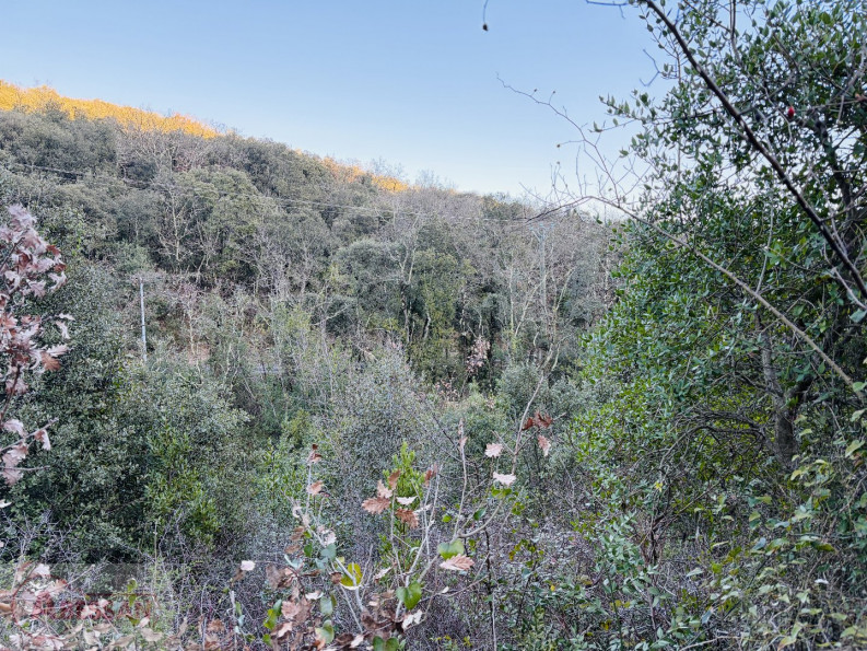 vente Terrain de loisir Saint Martin De Valgalgues - Photo 8