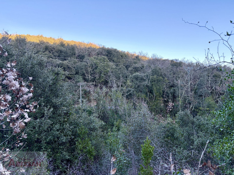 vente Terrain de loisir Saint Martin De Valgalgues - Photo 6