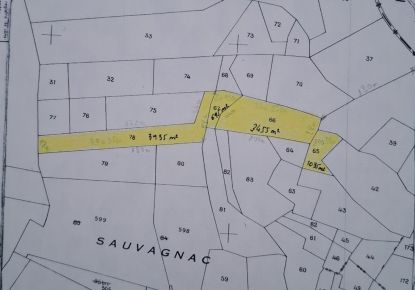 vente Terrain de loisir Saint Martin De Valgalgues