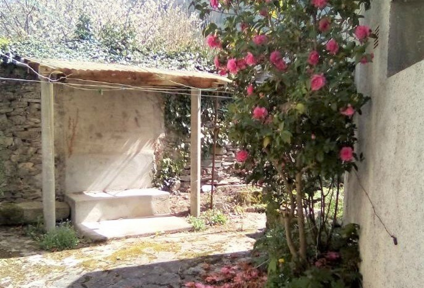 vente Maison de caractère Vabre - Photo 1