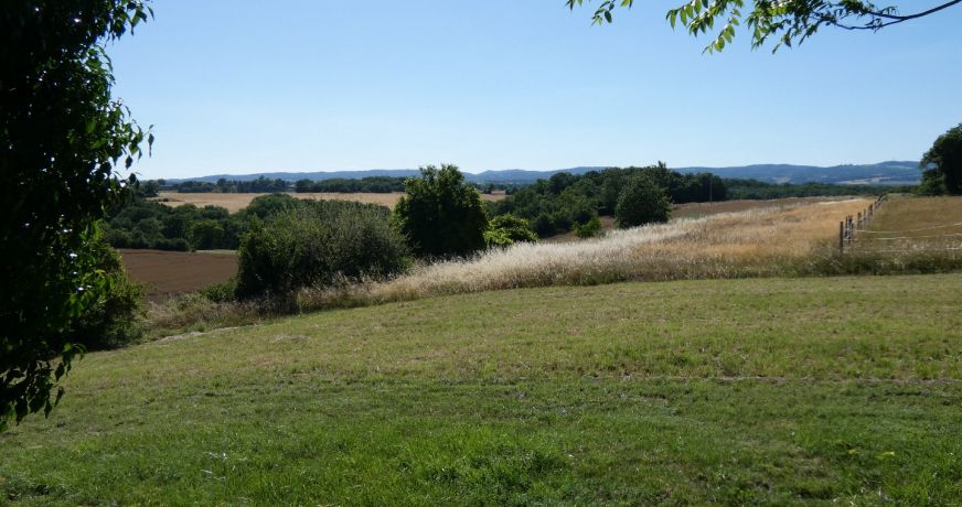 vente Maison de campagne Cordes-sur-ciel