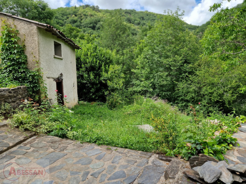 vente Maison de campagne Vabre - Photo 9