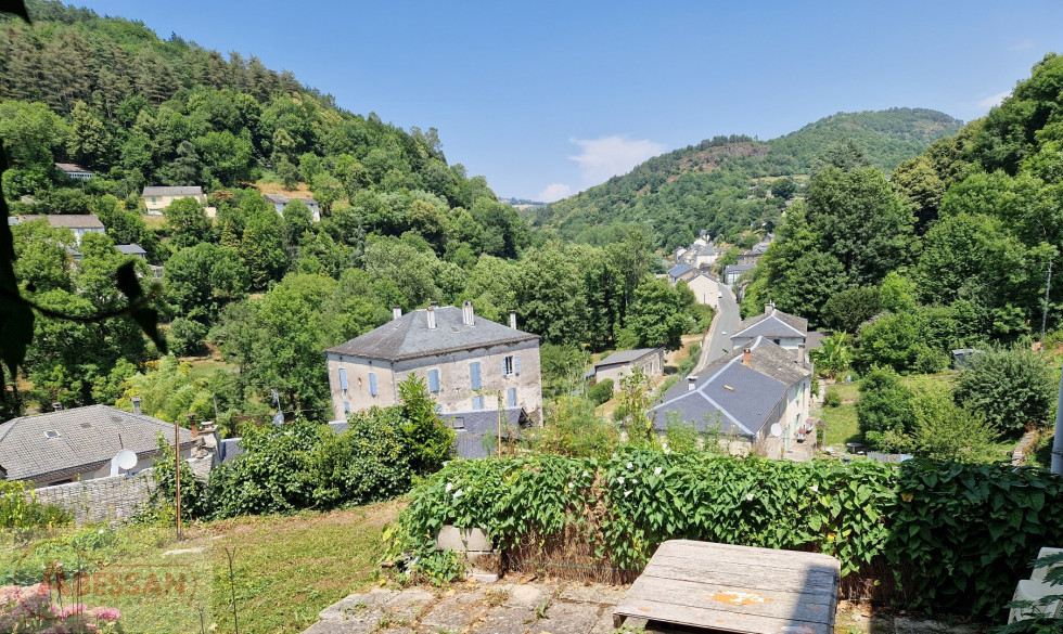 vente Maison mitoyenne Vabre - Photo 1
