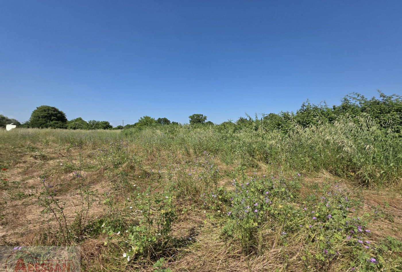 vente Terrain Nimes - Photo 5