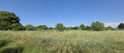vente Terrain Nimes