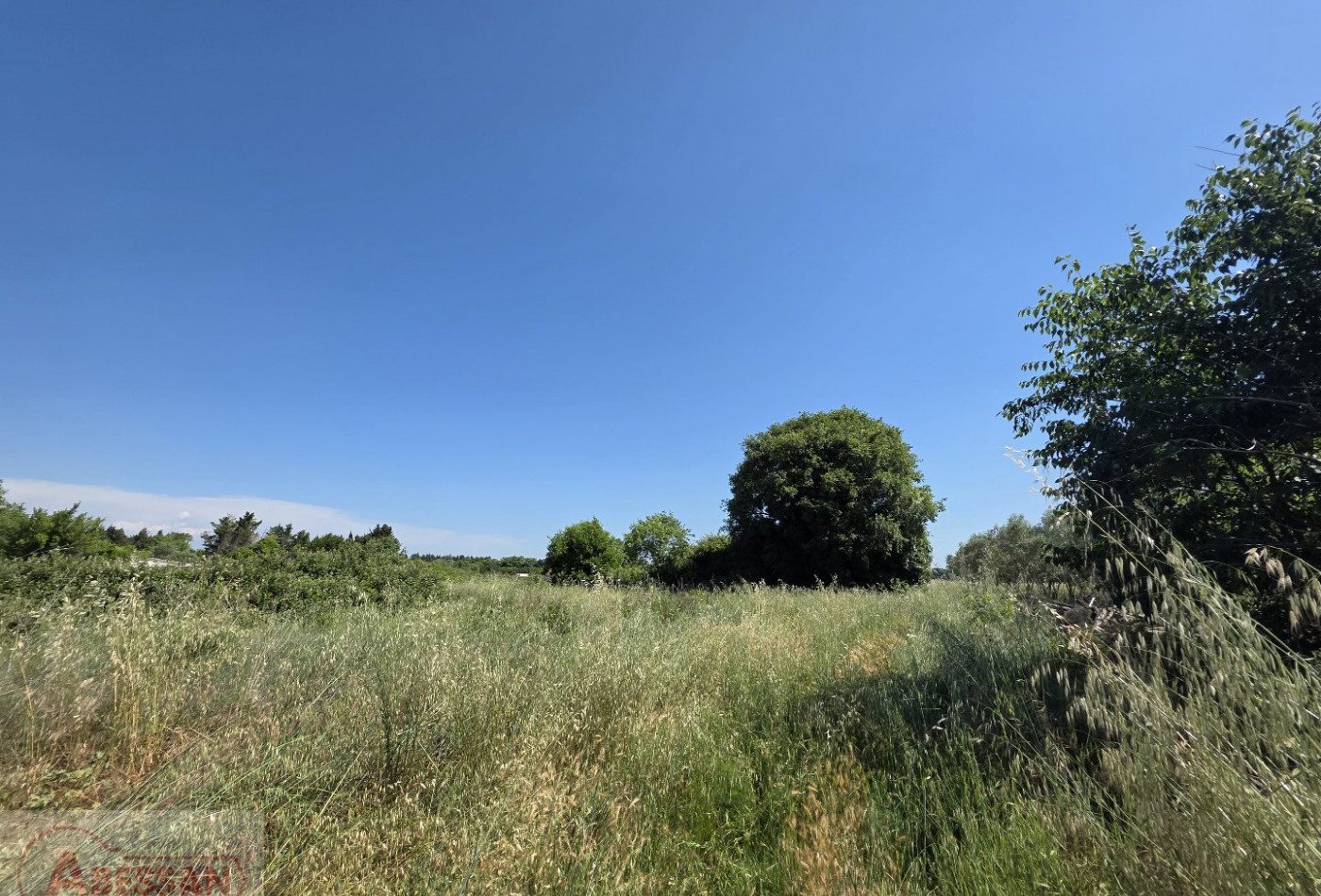 vente Terrain Nimes - Photo 8