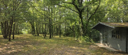 vente Maison de campagne Cordes-sur-ciel