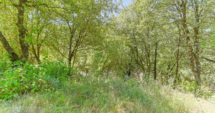 vente Maison individuelle Branoux Les Taillades