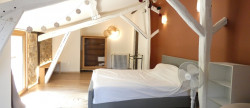vente Maison de village Cordes-sur-ciel