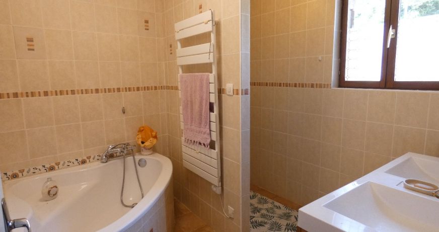 vente Maison individuelle Laguepie