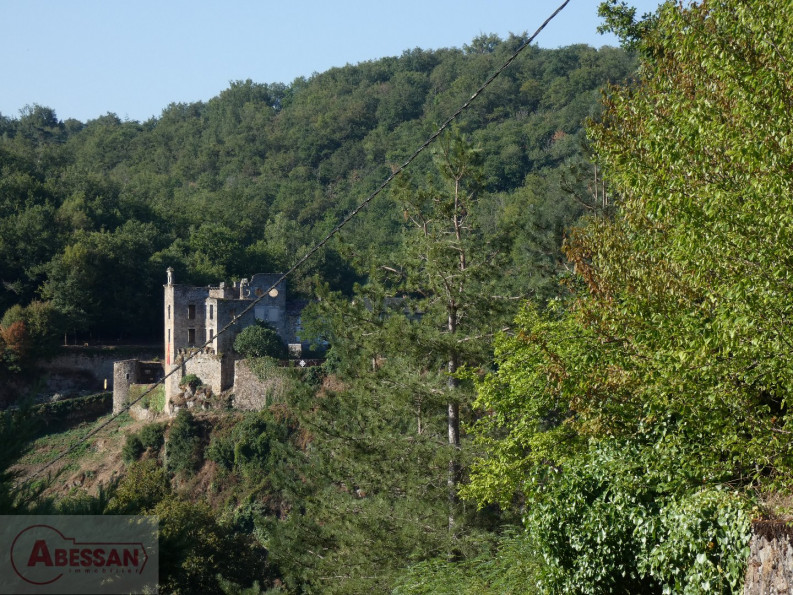 vente Maison individuelle Laguepie - Photo 10