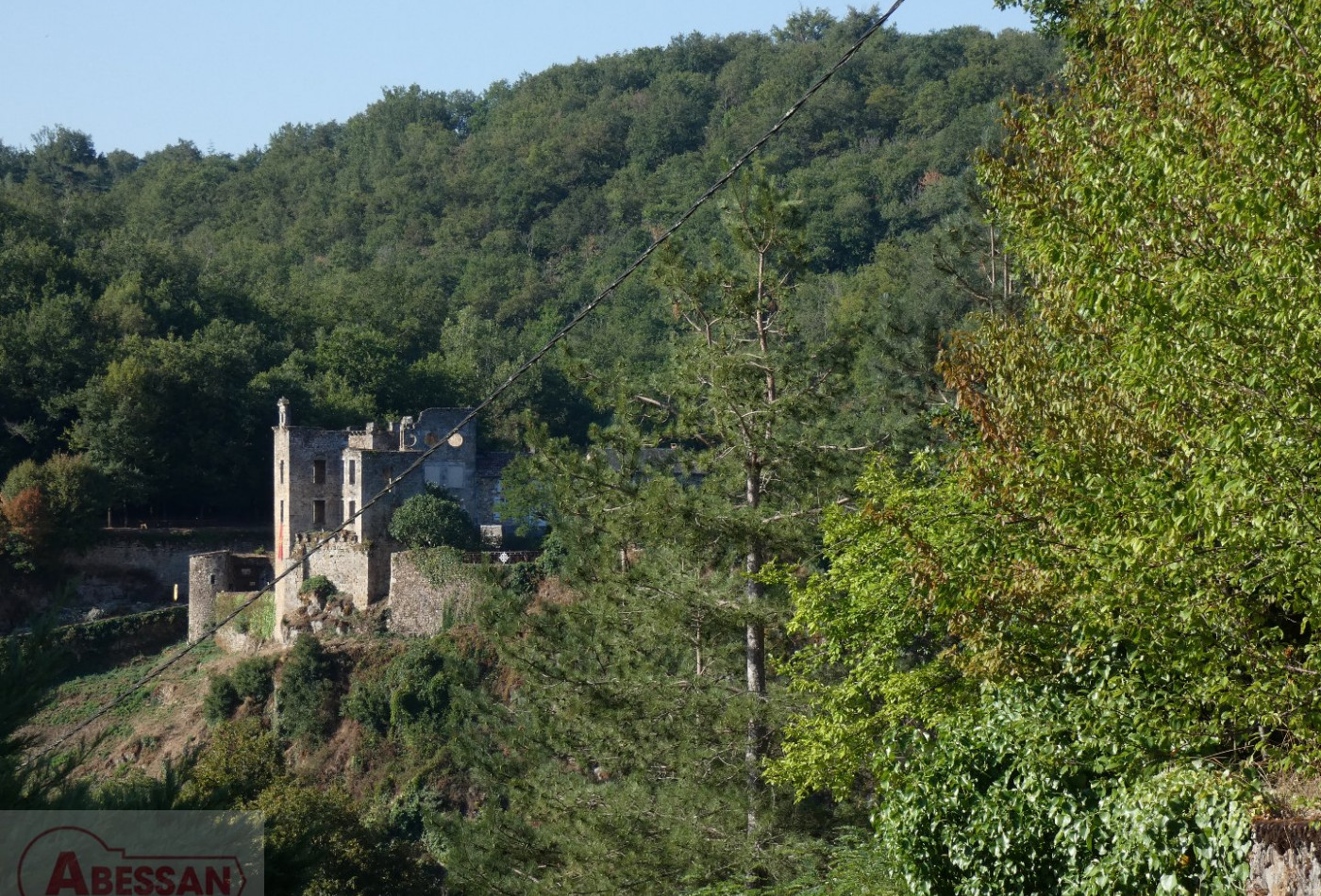 vente Maison individuelle Laguepie - Photo 10