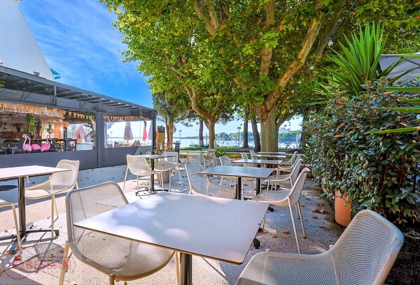 vente Café restaurant La Grande-motte - Photo 1