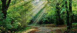 vente Terrain agricole Monoblet
