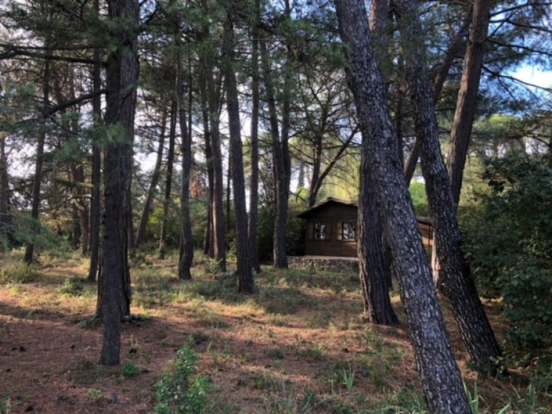 vente Terrain Castelnau Le Lez - Photo 4