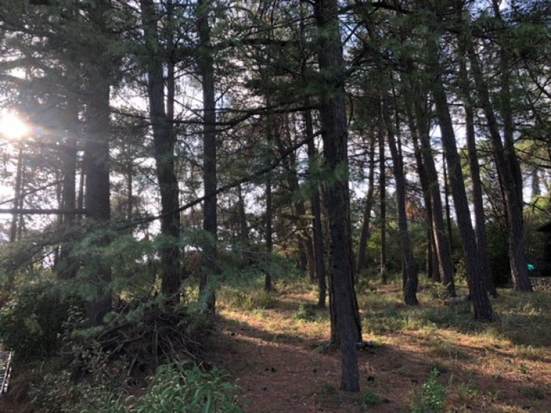 vente Terrain Castelnau Le Lez - Photo 1