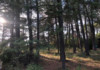 vente Terrain Castelnau Le Lez