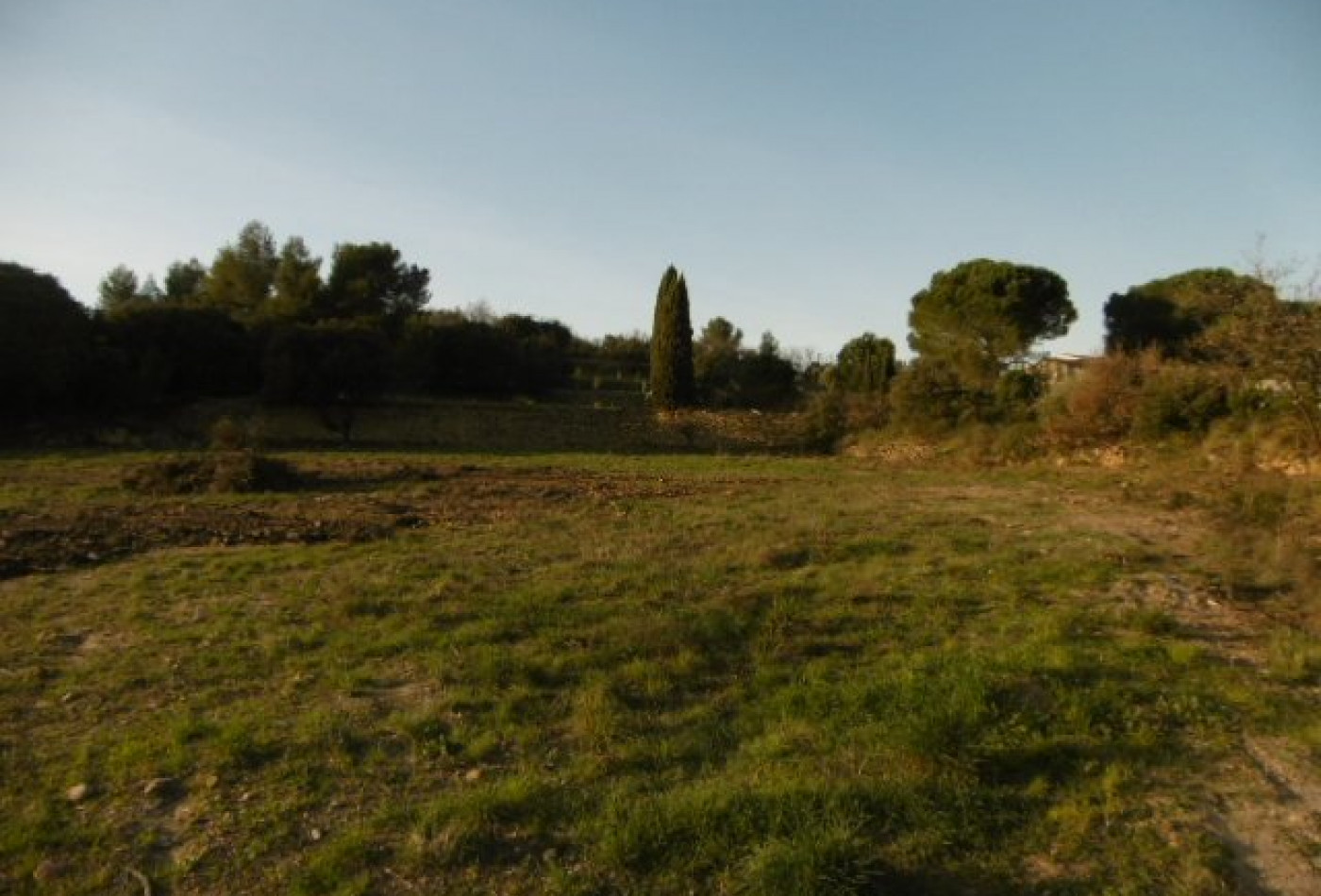 vente Terrain constructible Gabian - Photo 5