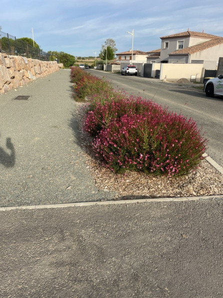 vente Terrain constructible Saint Genies De Fontedit - Photo 6