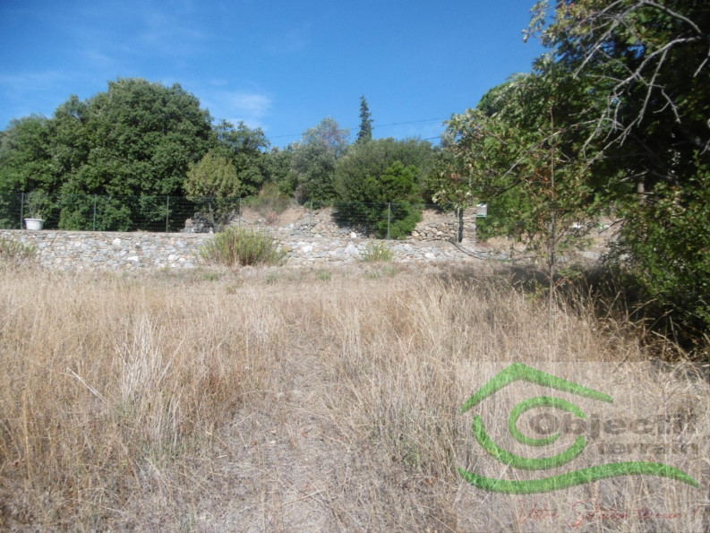 vente Terrain constructible Roquessels - Photo 5