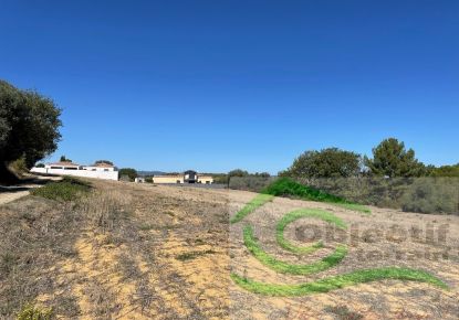 vente Terrain en lotissement Espondeilhan