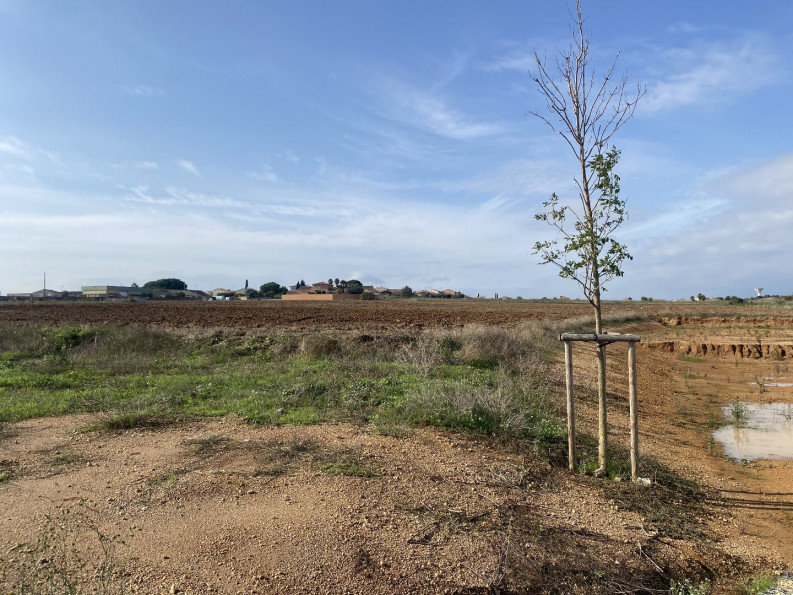 vente Villa Portiragnes - Photo 3