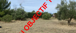 vente Terrain constructible Magalas