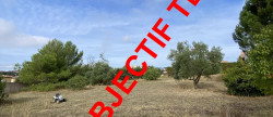 vente Terrain constructible Magalas