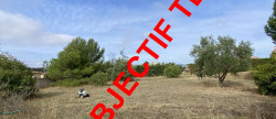 vente Terrain constructible Magalas