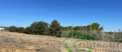 vente Terrain constructible Espondeilhan