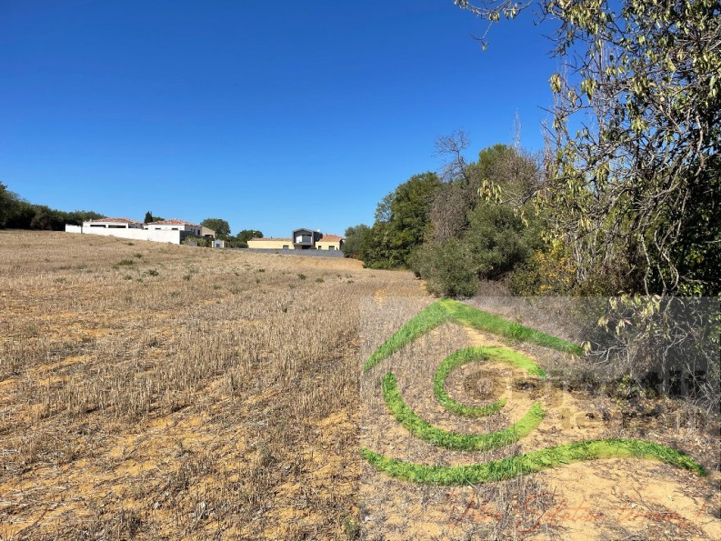vente Terrain constructible Espondeilhan - Photo 2