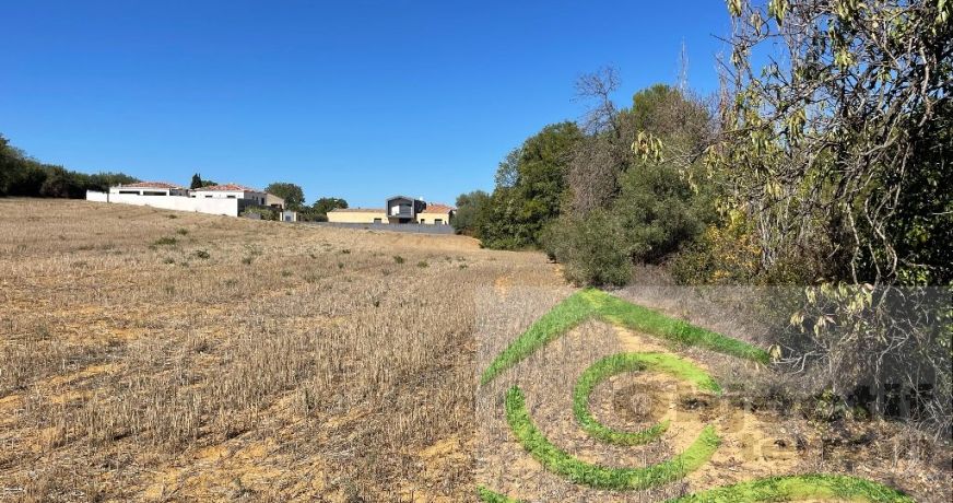 vente Terrain constructible Espondeilhan