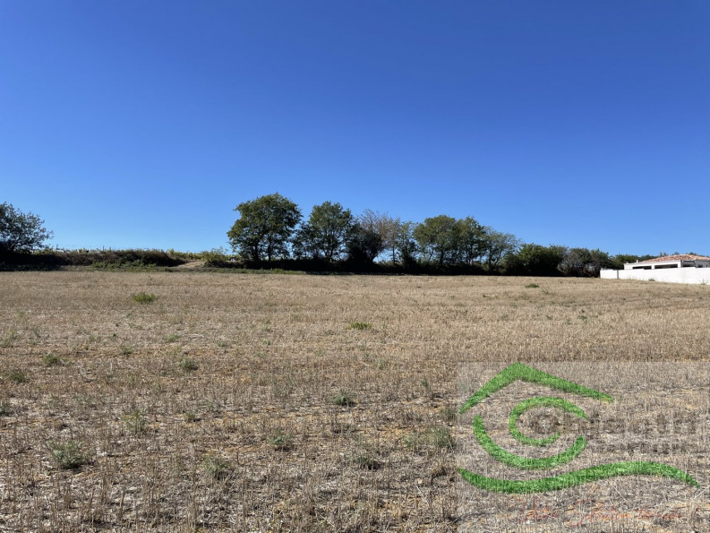 vente Terrain constructible Espondeilhan - Photo 4