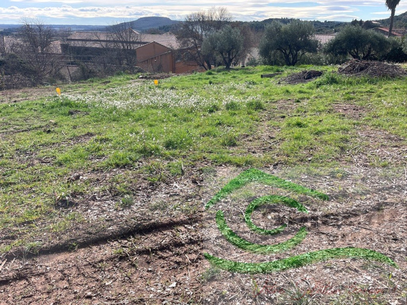 vente Terrain constructible Peret - Photo 2