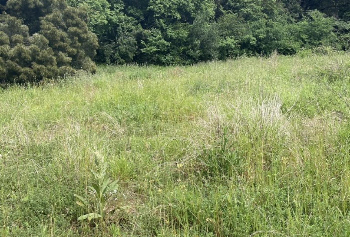 vente Terrain constructible Montpellier - Photo 2