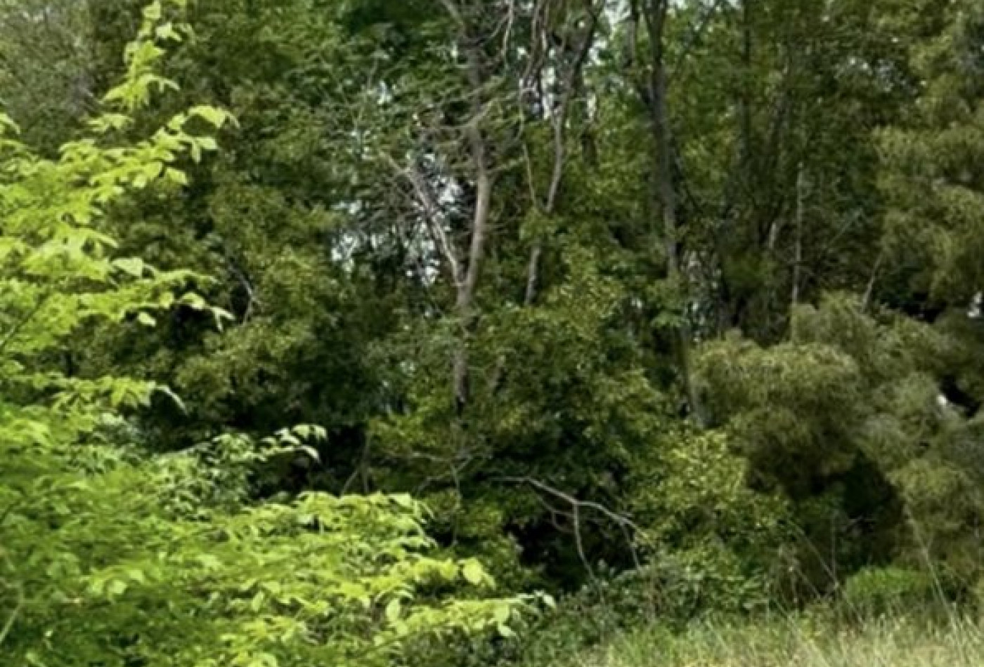 vente Terrain constructible Montpellier - Photo 4