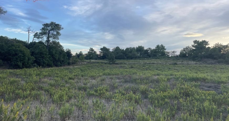 vente Terrain de loisir Laurens