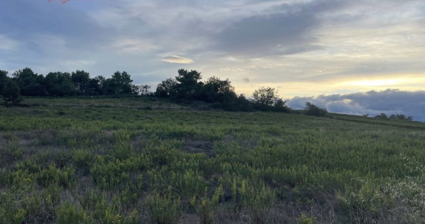 vente Terrain de loisir Laurens