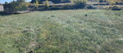 vente Terrain constructible Le Pradal