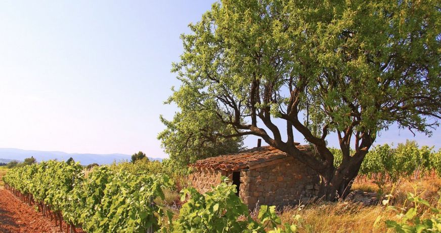 vente Terrain constructible Cazouls Les Beziers