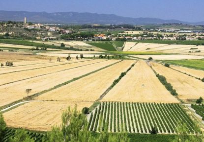 vente Terrain constructible Cazouls Les Beziers